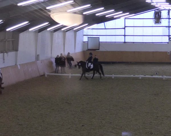 Reitturnier Datteln 2021