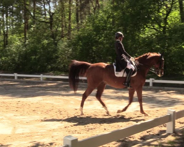 Reitturnier Meppen 2018
