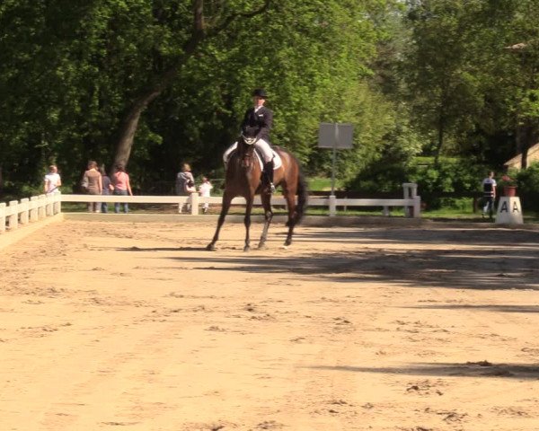 Reitturnier Meppen 2018