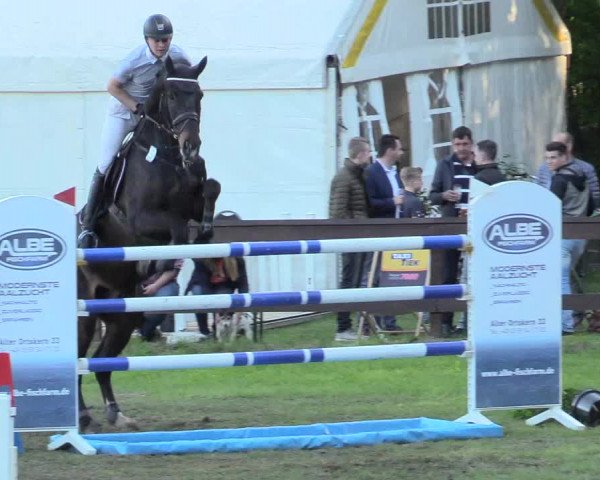 Reitturnier Meppen 2018