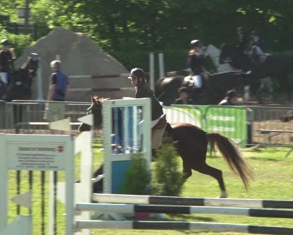 Reitturnier Jülich 2018
