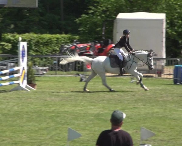 Reitturnier Jülich 2018