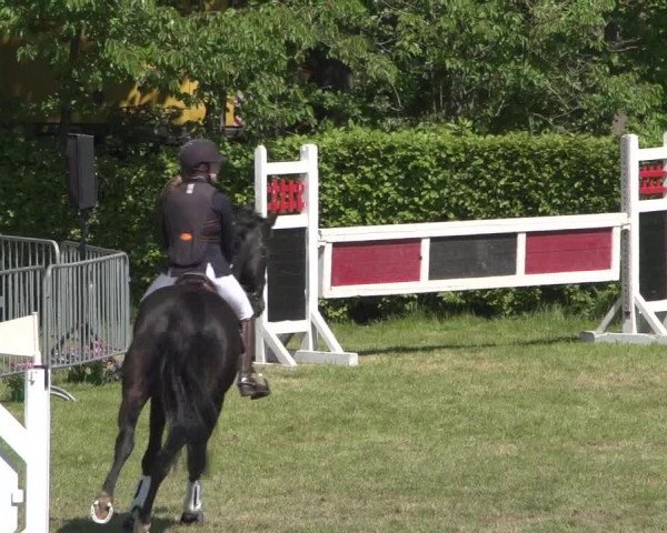Reitturnier Jülich 2018