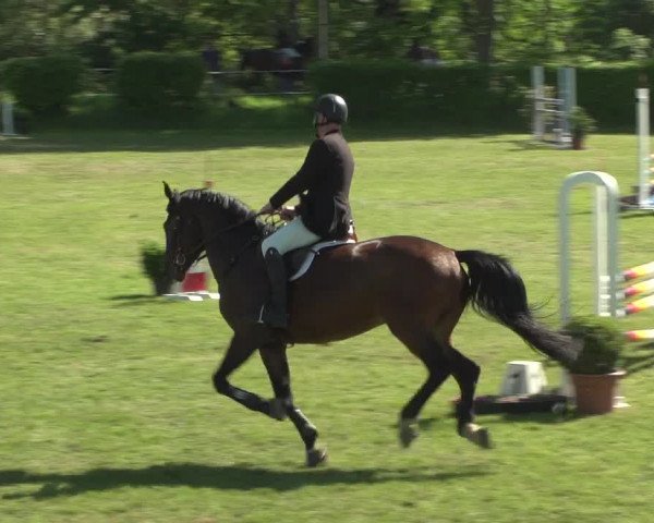 Reitturnier Jülich 2018