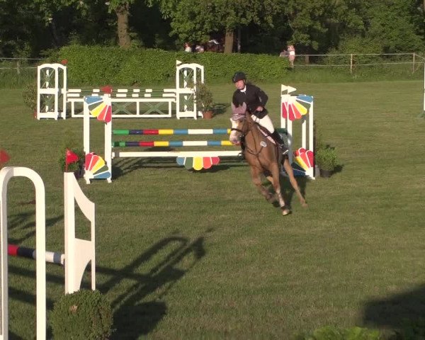 Reitturnier Jülich 2018