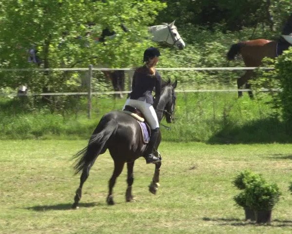 Reitturnier Jülich 2018