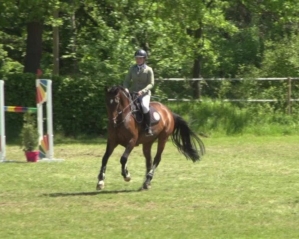Reitturnier Jülich 2018