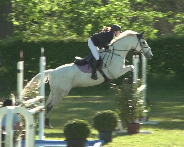 Reitturnier Jülich 2018