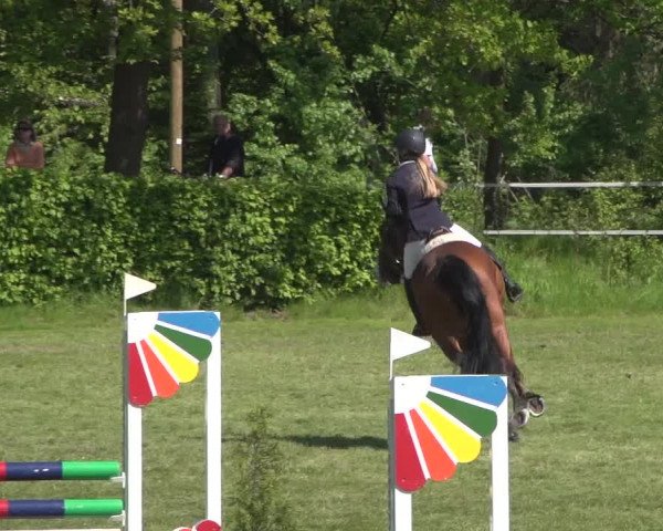 Reitturnier Jülich 2018