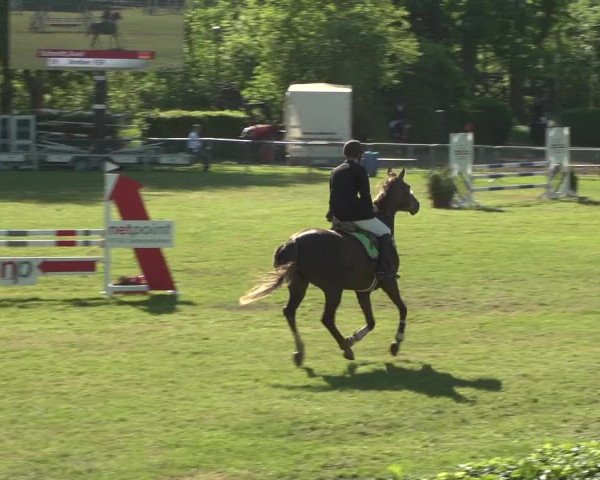 Reitturnier Jülich 2018
