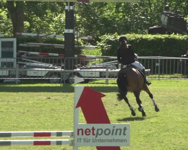 Reitturnier Jülich 2018