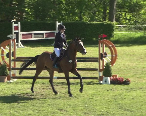 Reitturnier Jülich 2018