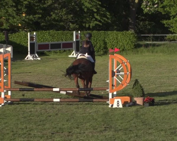 Reitturnier Jülich 2018