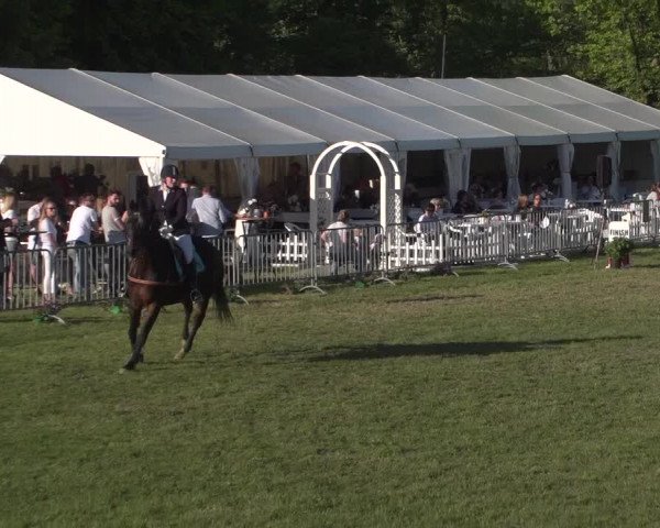 Reitturnier Jülich 2018