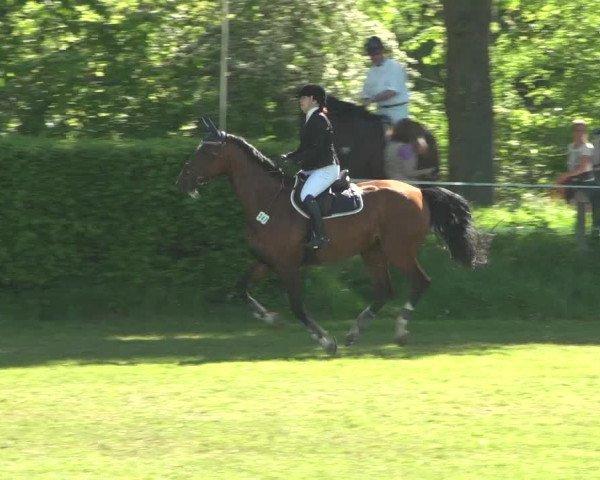 Reitturnier Jülich 2018