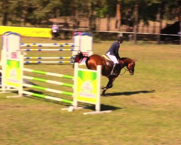 Reitturnier Altbarnim 2018
