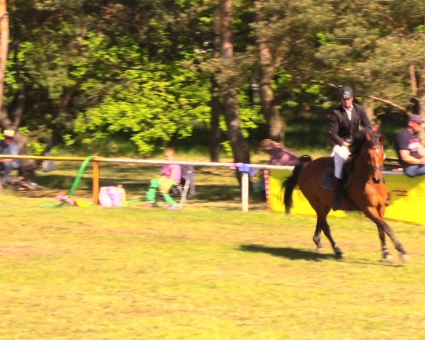 Reitturnier Altbarnim 2018