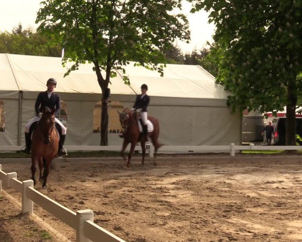 Reitturnier Meppen 2018