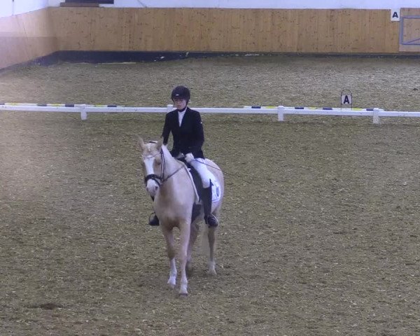Reitturnier Datteln 2021