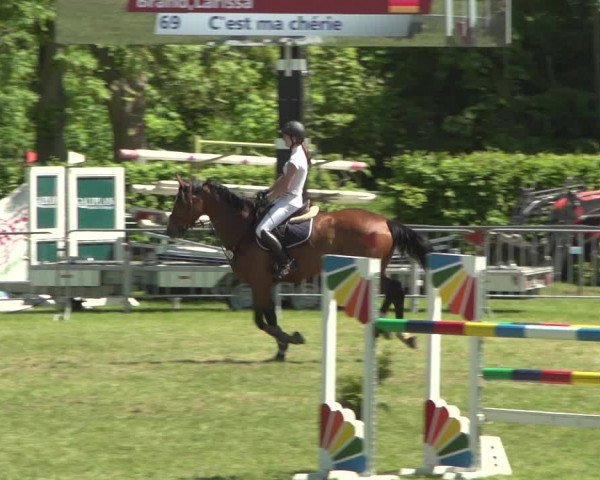 Reitturnier Jülich 2018