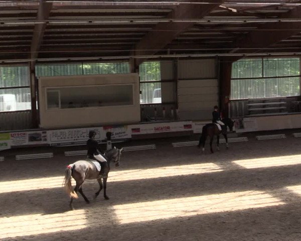 Reitturnier Kreuztal 2018
