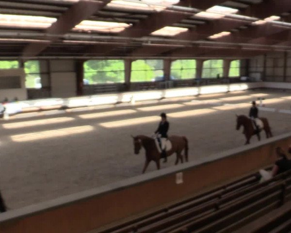 Reitturnier Kreuztal 2018