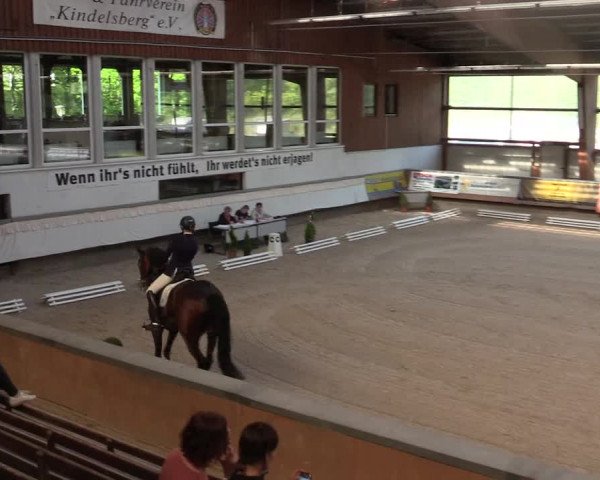 Reitturnier Kreuztal 2018