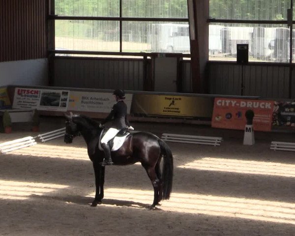 Reitturnier Kreuztal 2018