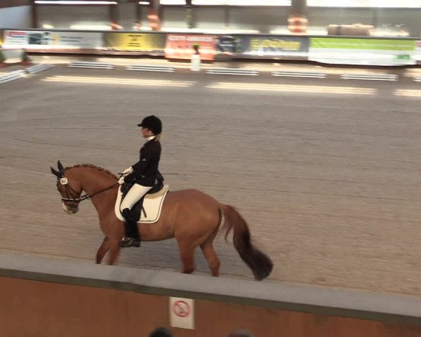 Reitturnier Kreuztal 2018