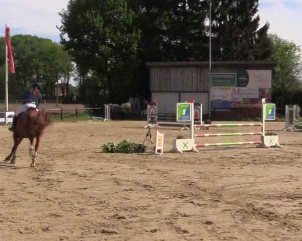 Reitturnier Havixbeck 2018