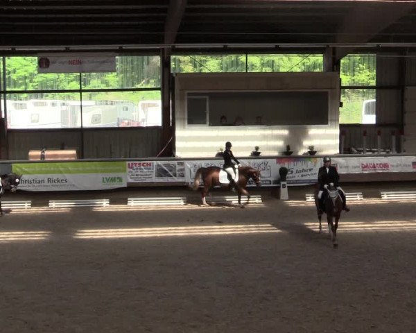 Reitturnier Kreuztal 2018