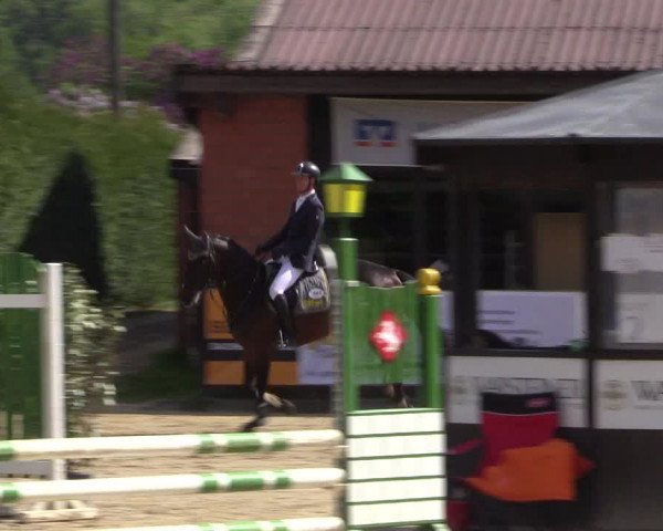Reitturnier Havixbeck 2018