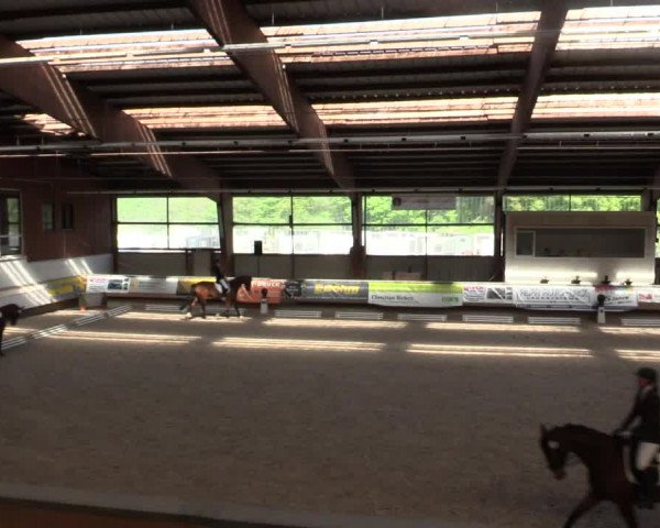 Reitturnier Kreuztal 2018