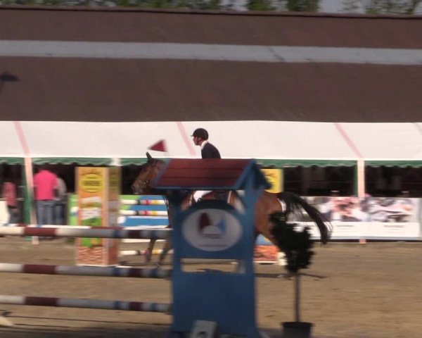Reitturnier Havixbeck 2018