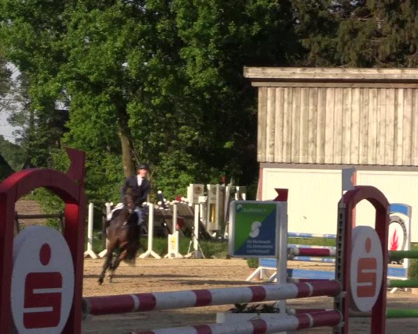Reitturnier Havixbeck 2018