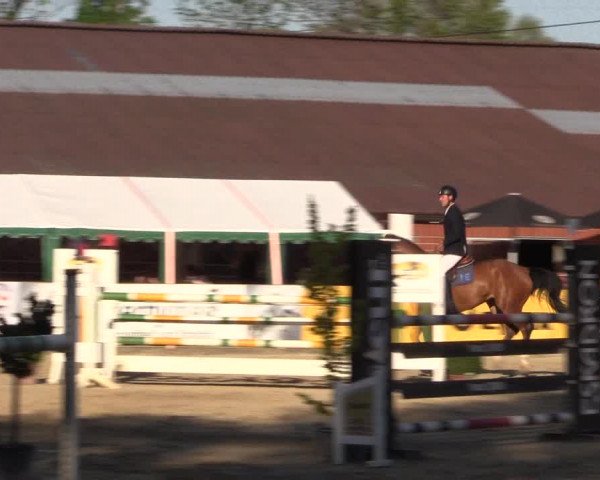 Reitturnier Havixbeck 2018