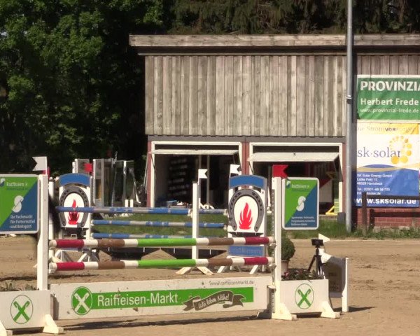 Reitturnier Havixbeck 2018
