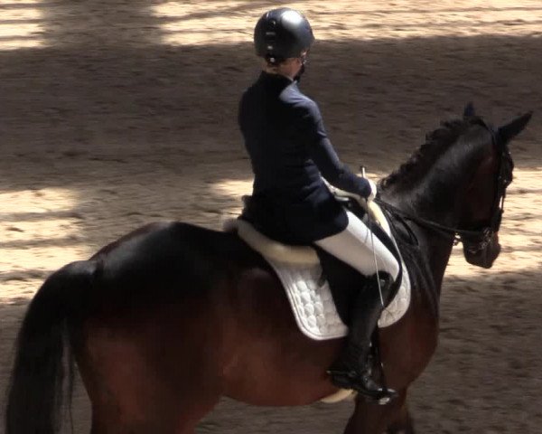 Reitturnier Kreuztal 2018