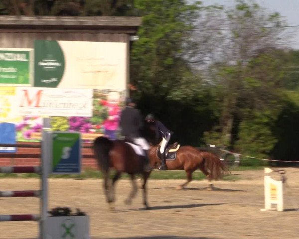 Reitturnier Havixbeck 2018