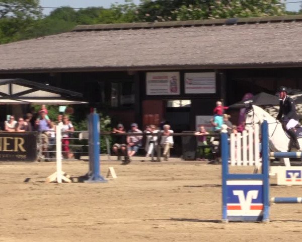 Reitturnier Havixbeck 2018