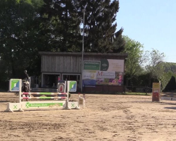 Reitturnier Havixbeck 2018