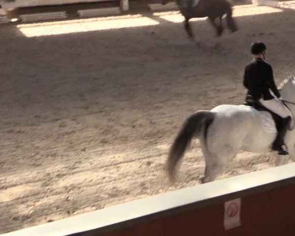 Reitturnier Kreuztal 2018