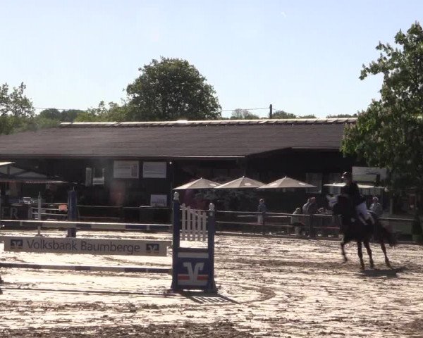 Reitturnier Havixbeck 2018