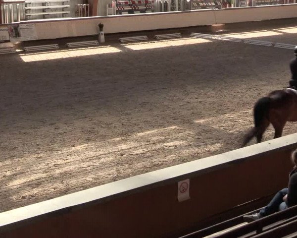 Reitturnier Kreuztal 2018
