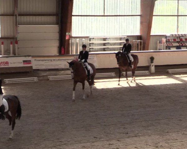 Reitturnier Kreuztal 2018
