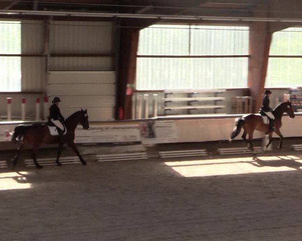 Reitturnier Kreuztal 2018