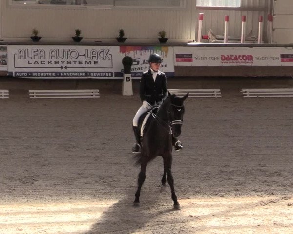 Reitturnier Kreuztal 2018