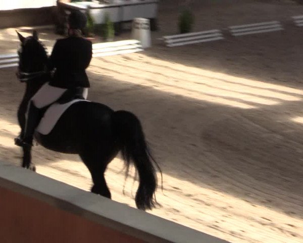 Reitturnier Kreuztal 2018