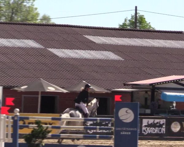Reitturnier Havixbeck 2018