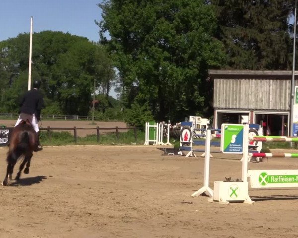 Reitturnier Havixbeck 2018